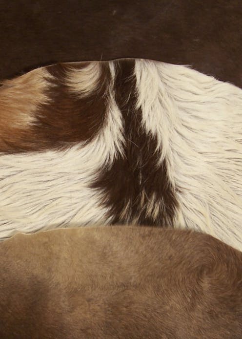 MDSgoatskins