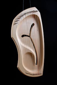 Auris Dual Lyre Diatonic