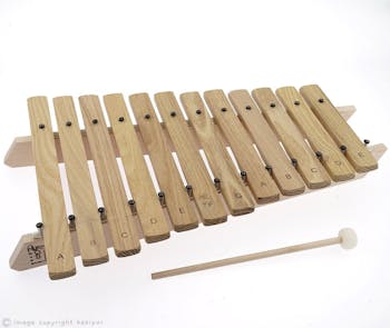 Auris Xylophone 12 note Diatonic