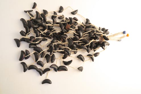 Knock on Wood Cabalonga rattle