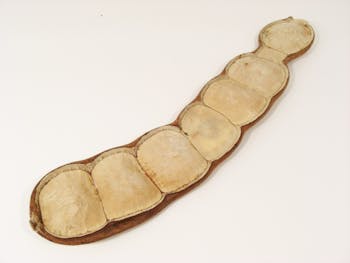 Knock on Wood Giant Seed Pod Shaker