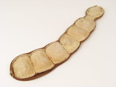 Knock on Wood Giant Seed Pod Shaker