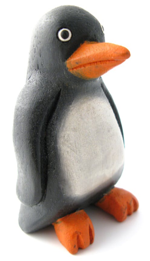 Knock on Wood Noisy Penguin