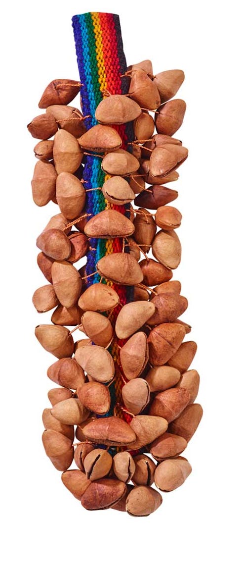 Afroton Seed Shaker