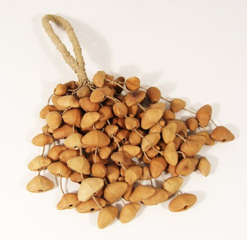 Knock on Wood Kenari Seed Shaker