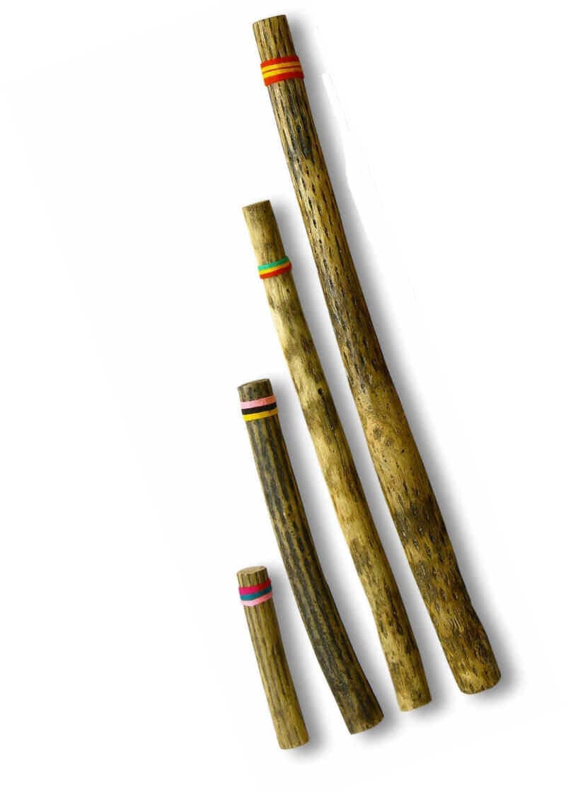 Chilean cactus rainstick