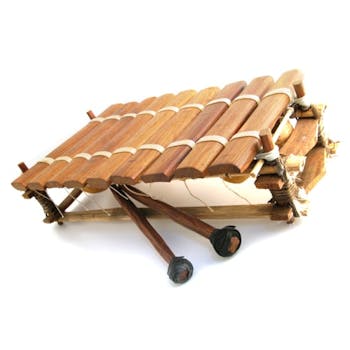 Knock on Wood Xylophone 9 Note from West Africa