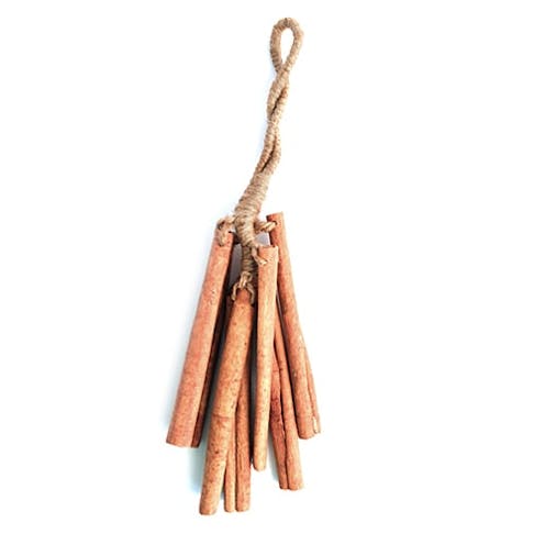 Knock on Wood Cinnamon Stick Shaker