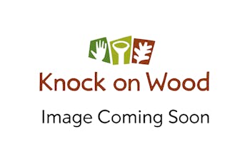 Contemporanea Pandeiro Choro Wood 10"